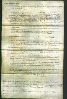 Court of Common Pleas - Elizabeth Jones-Original Ancestry