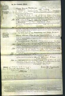 Court of Common Pleas - Elizabeth Waters, Mary Ann Andrews and Caroline Page-Original Ancestry