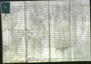 Court of Common Pleas - Mary Rawes Wake-Original Ancestry
