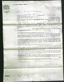 Court of Common Pleas - Clara Salmon-Original Ancestry