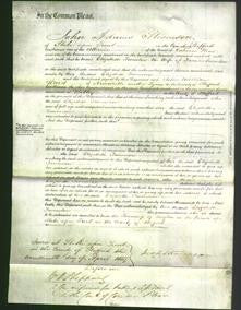 Court of Common Pleas - Elizabeth Twenlow-Original Ancestry