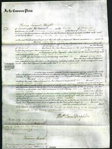 Court of Common Pleas - Mary Hobbs Dabbs-Original Ancestry