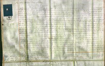 Court of Common Pleas - Fanny Whitehead-Original Ancestry