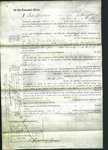 Court of Common Pleas - Alice Miller-Original Ancestry