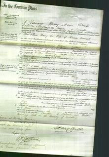 Court of Common Pleas - Mary Mansell