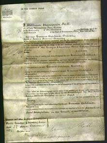 Court of Common Pleas - Emma Adelaide Braidley-Original Ancestry