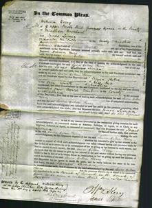 Court of Common Pleas - Laura Gilson Kerry-Original Ancestry