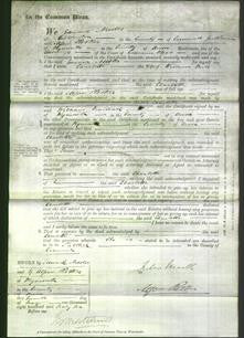 Court of Common Pleas - Charlotte Mill-Original Ancestry