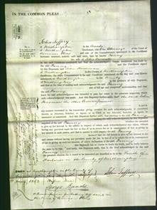 Court of Common Pleas - Fanny Caswoll-Original Ancestry