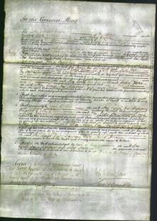 Court of Common Pleas - Ann Anderson, Sarah Ann Bedford, Margaret Webster and Mary Jane Abel-Original Ancestry