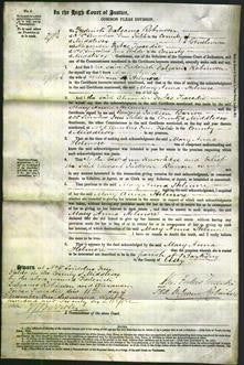 Court of Common Pleas - Mary Anna Helmore-Original Ancestry