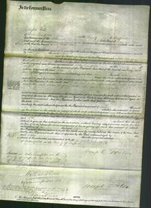 Court of Common Pleas - Esther Lane-Original Ancestry