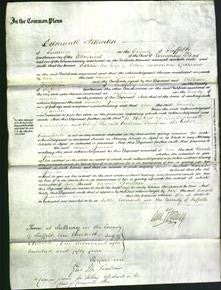 Court of Common Pleas - Sarah Sparrow-Original Ancestry