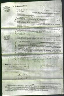 Court of Common Pleas - Elizabeth Woodhams and Mary Durtnall-Original Ancestry