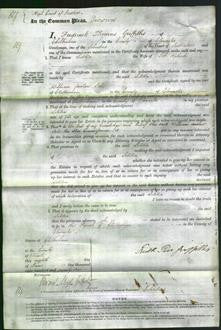 Court of Common Pleas - Letitia Roberts-Original Ancestry