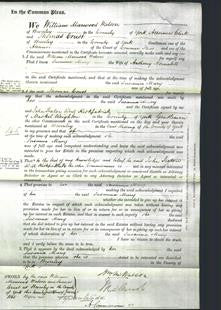 Court of Common Pleas - Susanna Mary Nomabell-Original Ancestry