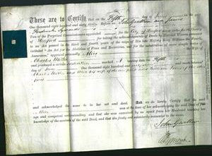 Deed by Married Women - Alice Miller-Original Ancestry