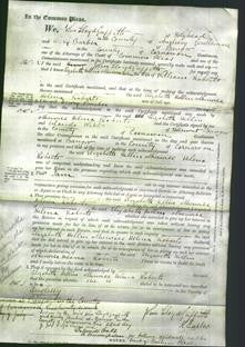 Court of Common Pleas - Elizabeth Hellin Helena Roberts-Original Ancestry