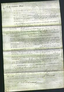 Court of Common Pleas - Alice Canby-Original Ancestry