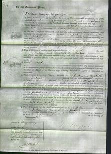Court of Common Pleas - Emily Jenkins and Elizabeth Ann Jenkins-Original Ancestry