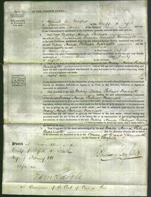 Court of Common Pleas - Mary Anna Palmer Marriott-Original Ancestry