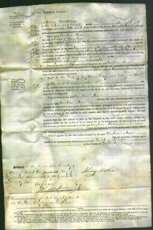 Court of Common Pleas - Caroline Anne Chambers-Original Ancestry