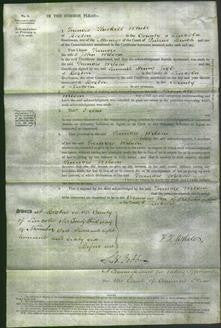 Court of Common Pleas - Frances Wilson-Original Ancestry