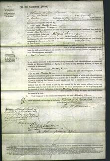 Court of Common Pleas - Madby Ann Benson-Original Ancestry