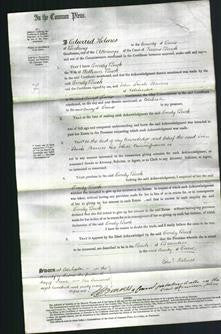 Court of Common Pleas - Emily Buck-Original Ancestry