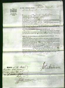 Court of Common Pleas - Mary Heathfield-Original Ancestry