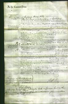 Court of Common Pleas - Anne Mary Heygate Everett-Original Ancestry