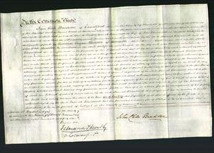 Court of Common Pleas - Hannah Rounsevell-Original Ancestry