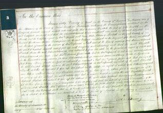 Court of Common Pleas - Elizabeth Hewlett-Original Ancestry