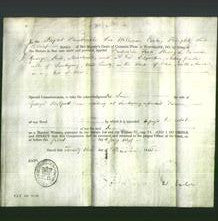 Appointment of Special Commissioners - Frederick Foote, Henry L Thorwaite, George Reed and A D Edgerton-Original Ancestry