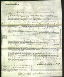 Court of Common Pleas - Margaret Wilson-Original Ancestry