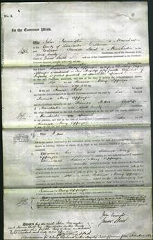 Court of Common Pleas - Susanna Mary Coppinger-Original Ancestry