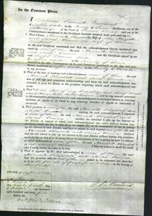 Court of Common Pleas - Harriett Elizabeth Hayden and Sarah Emma Newport-Original Ancestry