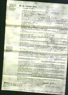 Court of Common Pleas - Maria Collins-Original Ancestry