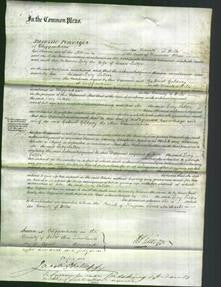 Court of Common Pleas - Lucy Salter-Original Ancestry