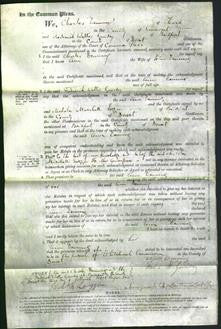 Court of Common Pleas - Ann Denning-Original Ancestry