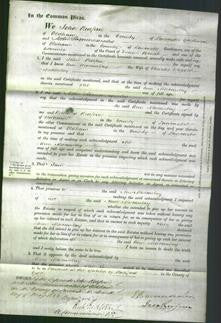 Court of Common Pleas - Ann Macaulay-Original Ancestry