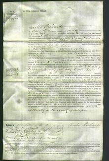 Court of Common Pleas - Jane Richards-Original Ancestry