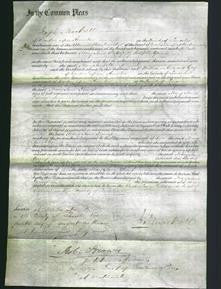 Court of Common Pleas - Mary Jane Young-Original Ancestry