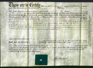 Deed by Married Women - Emily Jenkins and Elizabeth Ann Jenkins-Original Ancestry