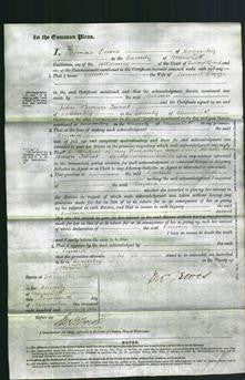 Court of Common Pleas - Emma Owen-Original Ancestry