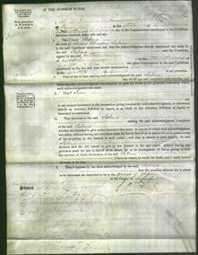 Court of Common Pleas - Sabina Sabine-Original Ancestry