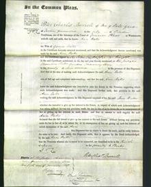 Court of Common Pleas - Ann Watts-Original Ancestry