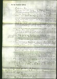 Court of Common Pleas - Jemima Ann Cockin and Sarah Stretton-Original Ancestry