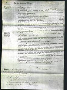 Court of Common Pleas - Harriet Emma Baker-Original Ancestry