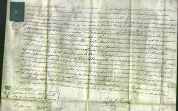 Court of Common Pleas - Elizabeth Jones-Original Ancestry